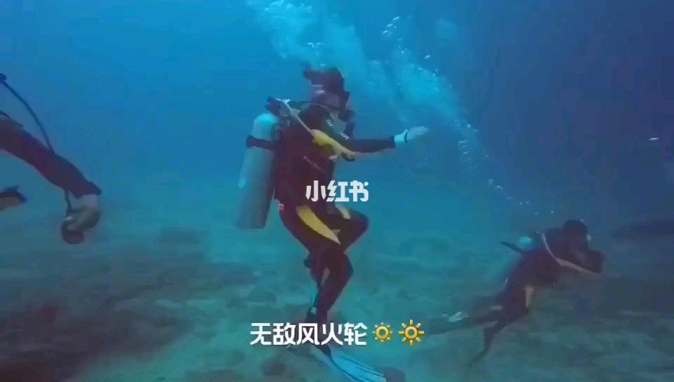 幼崽救援行动选关版
