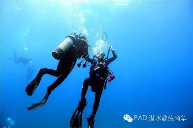 格斗巅峰大作战1.1