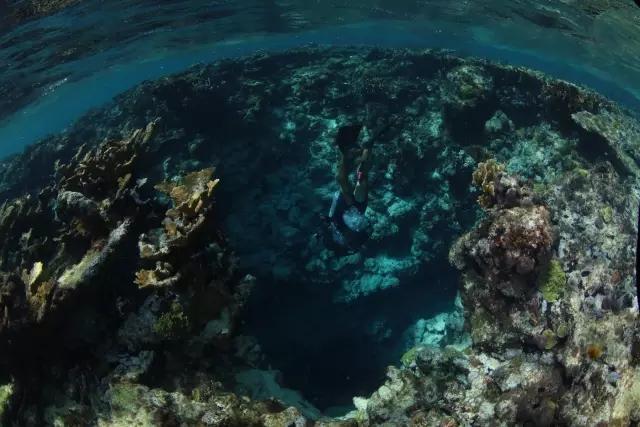 预防地中海贫血，向“零地贫”目标迈进