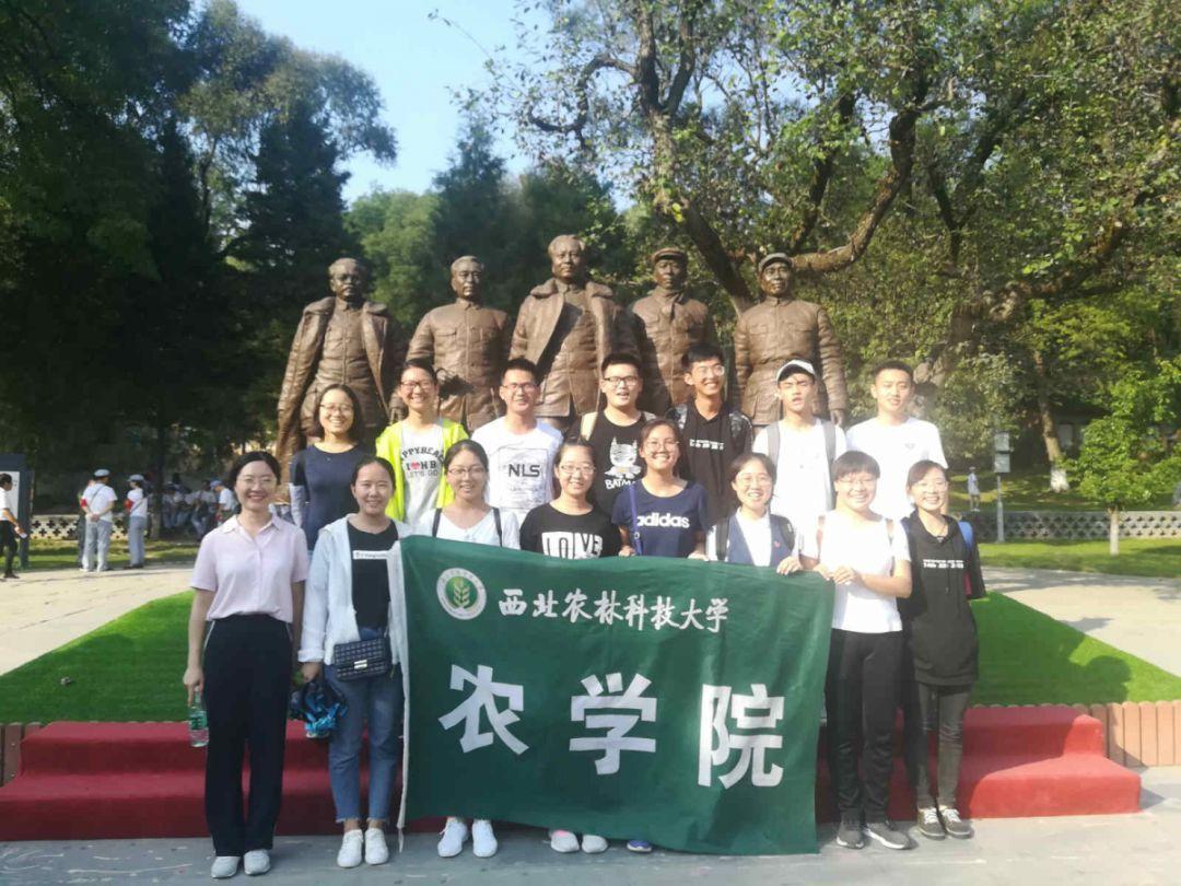 旋转方块大挑战