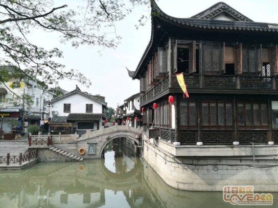 玄凤鹦鹉刚出生四个月能摸吗?-发现和分享有趣的内容的社区平台