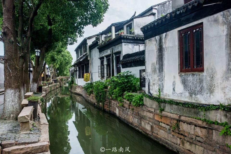 飞扬的独眼鸟